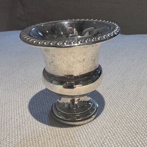 Elegant Silver Vase